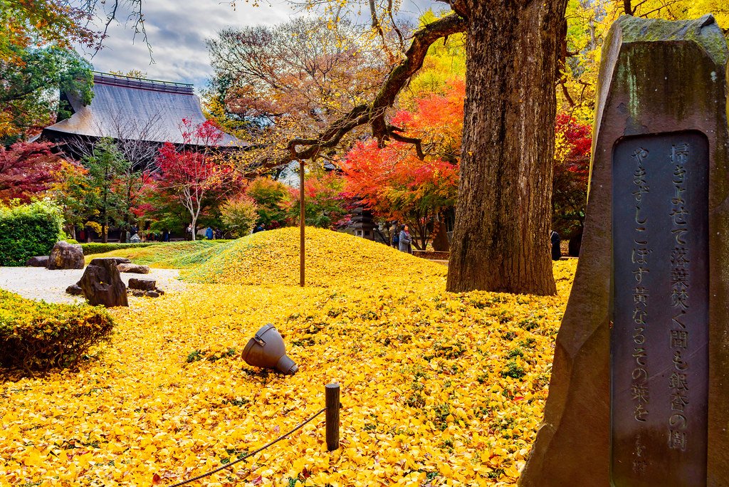 🏯 쿠혼부츠 조신지 이미지 9